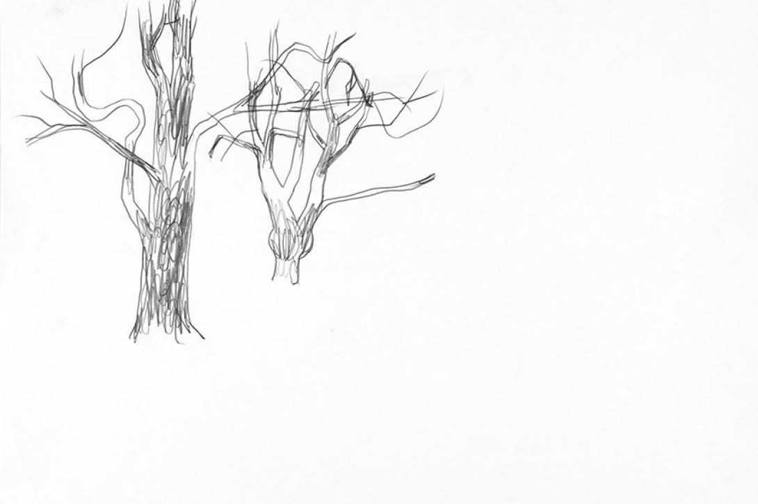 Wouter Krokaert – « arbre » (crayon sur papier, 2004)
